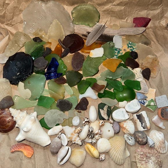 Beach mystery box Sea shells sea glass Puerto Rico Caribbean mermaid treasures - Picture 3 of 3